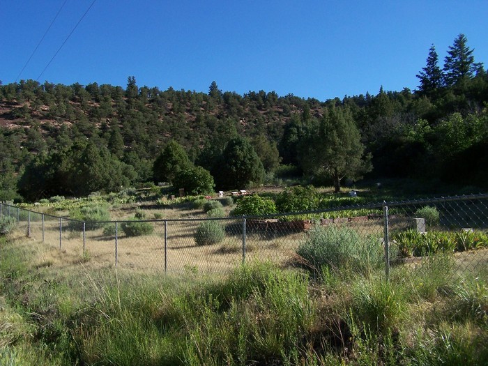 Placerville Cemetery