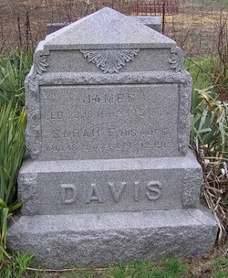 Sarah E. Davis 