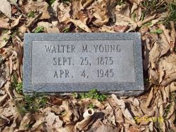 Walter Mason Young 