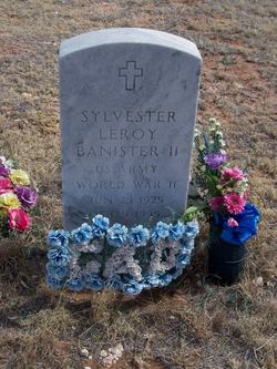 Sylvester Leroy Banister II