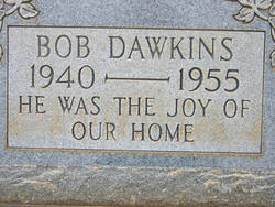 Bob Dawkins 