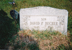 David P Bucher 