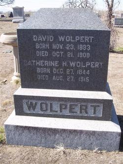 David Wolpert 