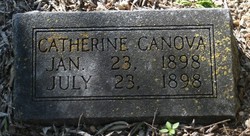 Catherine Canova 