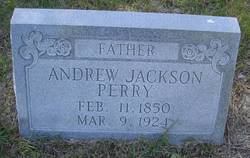 Andrew Jackson Perry 