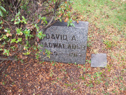 David Albert Cadwalader 