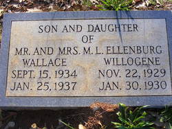 Wallace Ellenburg 