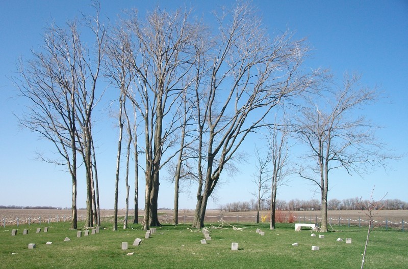 Livingston County Poor Farm Cemetery