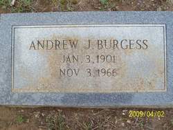 Andrew Jackson Burgess 