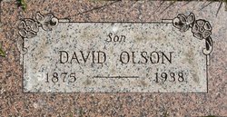David Olson 