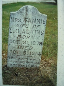 Fannie H <I>Farris</I> Adkins 