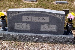 Mary Ann <I>Lee</I> Allen 
