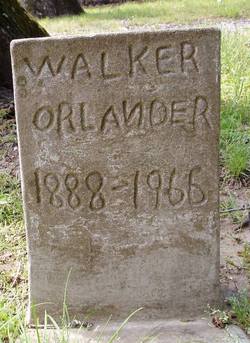 Walker Orlander 