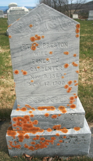 Ethel E. <I>Preston</I> Carpenter 