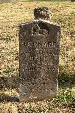 Bernard Bell 