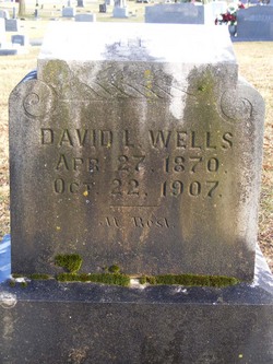 David L. Wells 