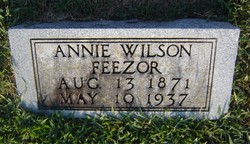 Sarah Anna “Annie” <I>Wilson</I> Feezor 