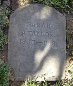 Sarah Ann <I>Springer</I> Taylor 