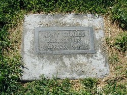 Mary <I>Akin</I> Cowles 