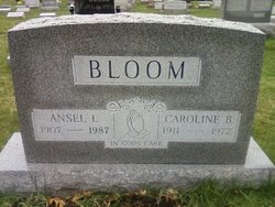 Ansel Lee Bloom 