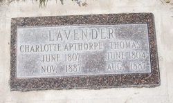 Charlotte <I>Apthorpe</I> Lavender 