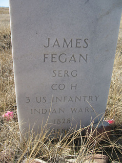 James Fegan 