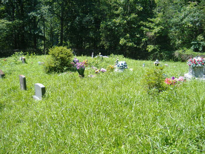Bradley Cemetery #2