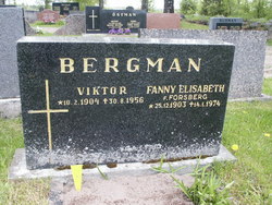 Viktor Bergman 