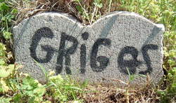 Griggs 