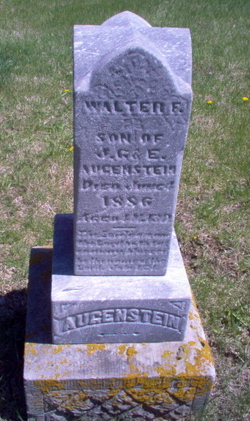 Walter F Augenstein 