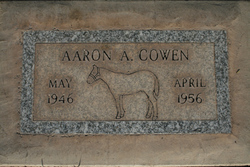 Aaron Alvin Cowen 