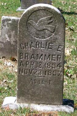 Charlie E. Brammer 
