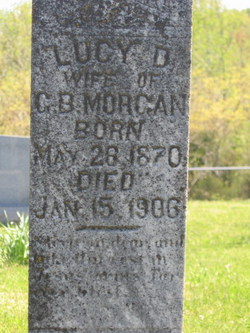 Lucy D. <I>Wells</I> Morgan 