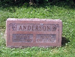 Agnes Bessie <I>Wilson</I> Anderson 