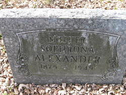 Sophrona <I>Brown</I> Alexander 