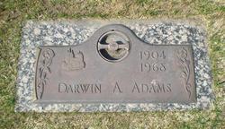 Darwin Allen Adams 