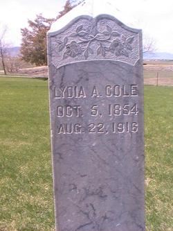 Lydia Ann <I>Cole</I> Bronson 