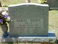 Harley Brown 