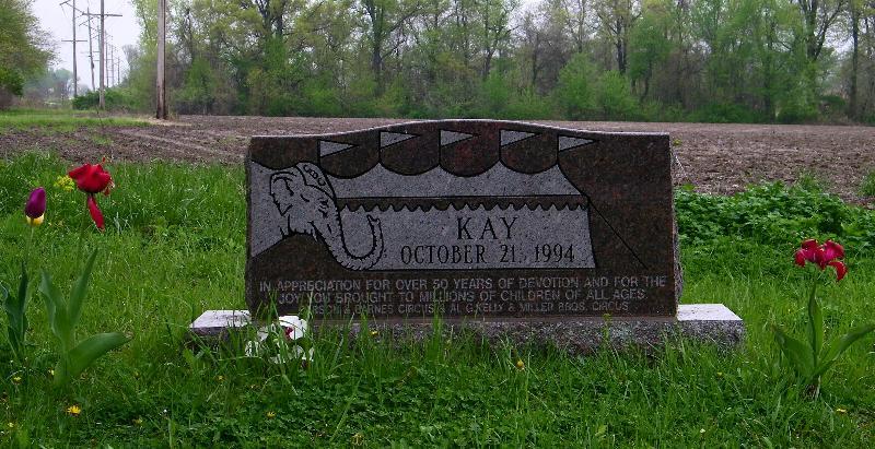 Kay the Elephant Burial Site