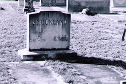 Mary Ann <I>Lee</I> Strickland 