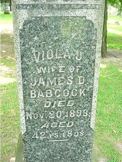 Viola Jane <I>Cox</I> Babcock 