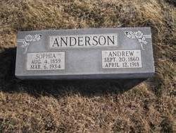 Andrew Anderson 