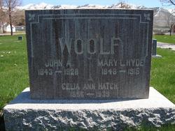 Celia Ann <I>Hatch</I> Woolf 