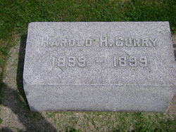 Harold Hallock Curry 