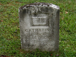 Catharine <I>Rhodes</I> Estright 