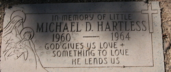 Michael D Hartless 