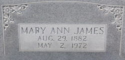 Mary Ann <I>Benefield</I> James 