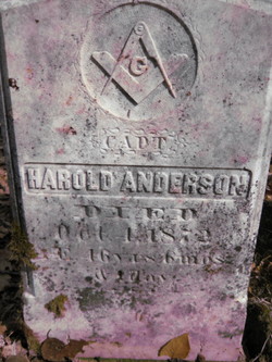 CAPT Harold Anderson 