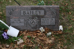 Alvin Bailey Jr.