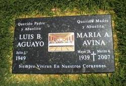 Luis B. Aguayo 